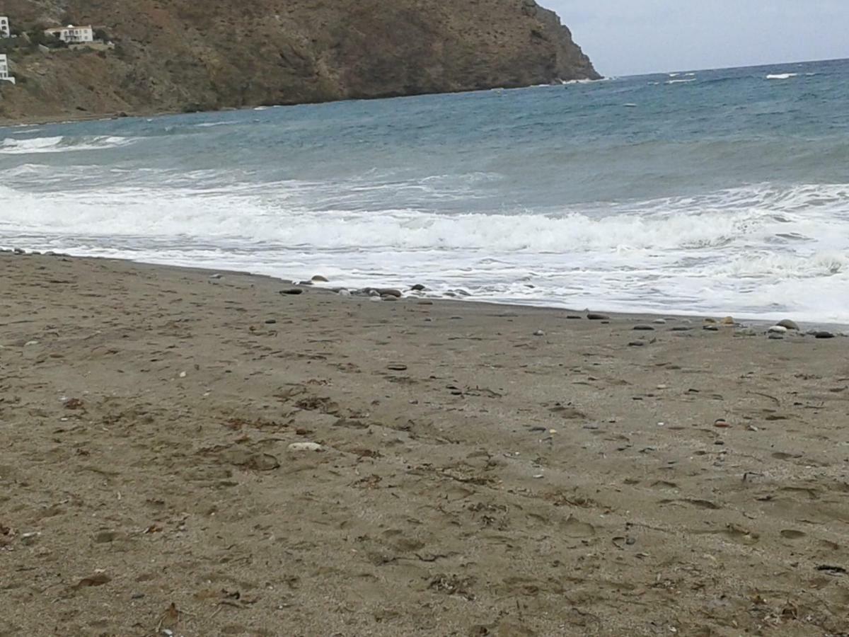 Frente Al Mediterraneo En *